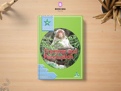 Focus-on-Grammar-and-Punctuation-Book-3