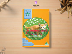 Focus_on_Grammar-and-Punctuation_Book-introductory