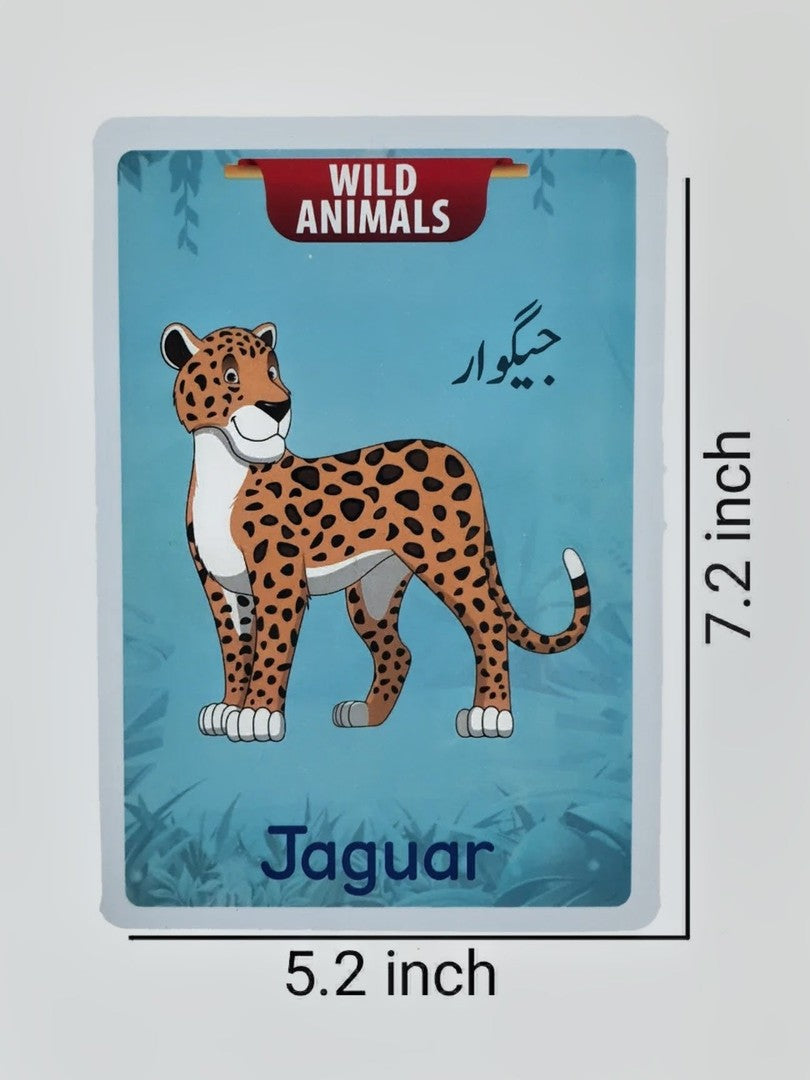Jumbo Animals Flash Cards (24 cards)