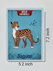 Jumbo Animals Flash Cards (24 cards)