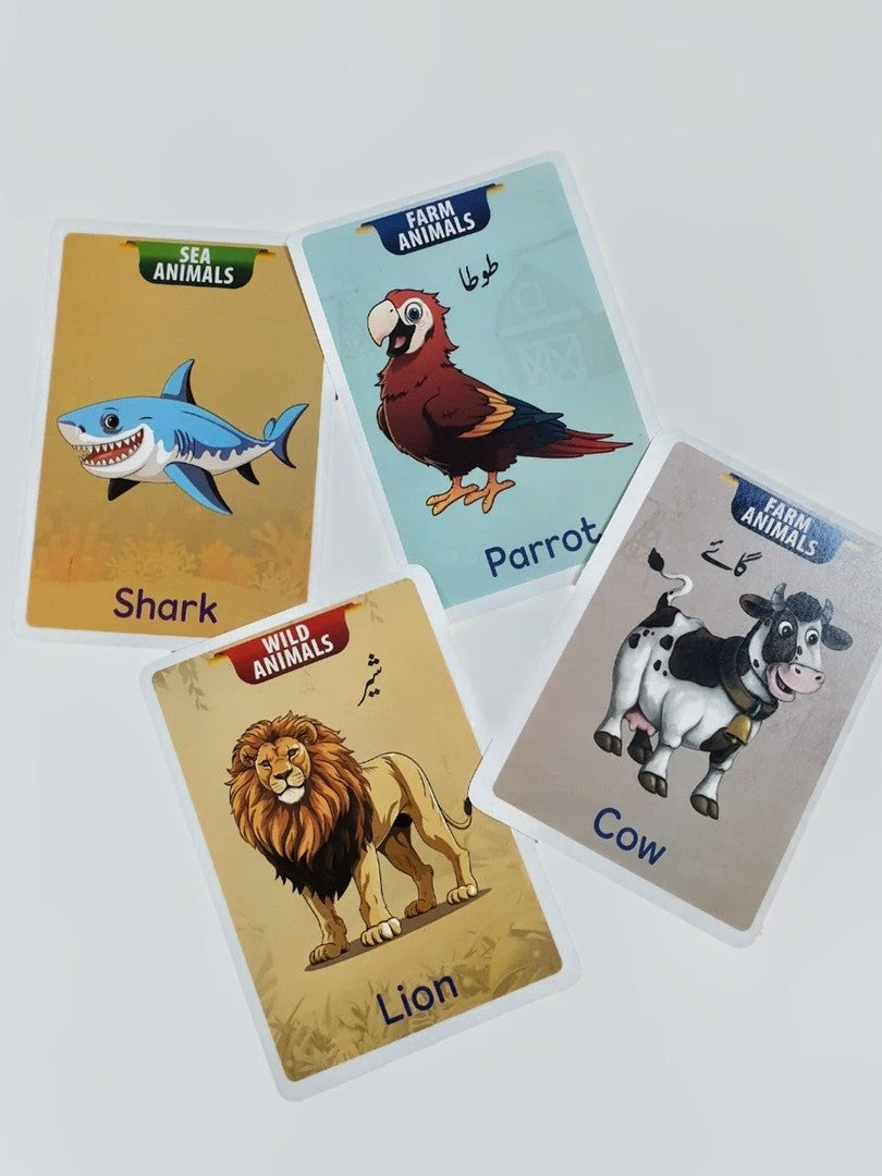 Jumbo Animals Flash Cards (24 cards)